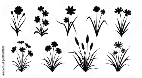 Black and white floral arrangement with various wildflowers and grasses