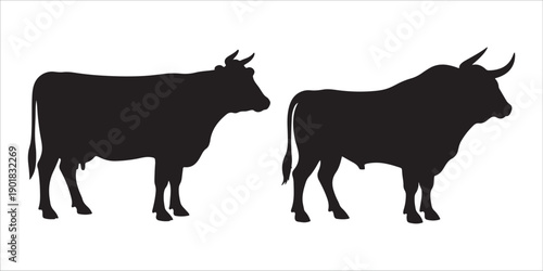 This image displays black silhouettes of two cattle side-by-side against a white background. On the left is a female cow, identifiable by its udder. On the right is a male bull, characterized by its s