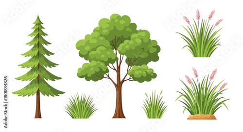 A collection of various green trees and plants, including a tall evergreen, a broadleaf deciduous tree, and several clumps of grass and reeds.