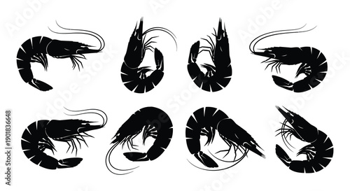 Black silhouette illustrations of several shrimp in various positions