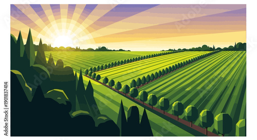 A vibrant illustration of a sunlit agricultural field with rows of trees and a bright sunrise.