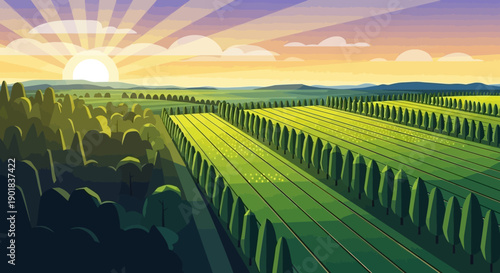 Sunrise over a vast agricultural landscape with rows of trees and cultivated fields.