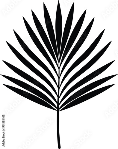 Black palm leaf silhouette on background frond tropical