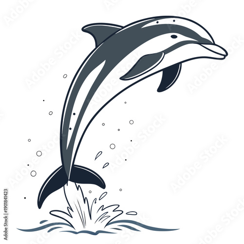A playful dolphin leaping out of the ocean with a splash of water droplets around it. Vector