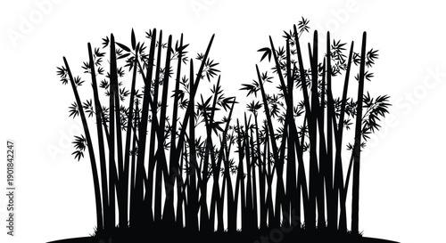A dense grove of black bamboo stalks against a white background