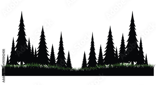 Silhouetted evergreen trees against a stark white background