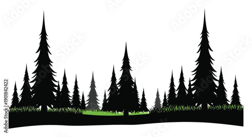 Silhouette of coniferous trees against a white background