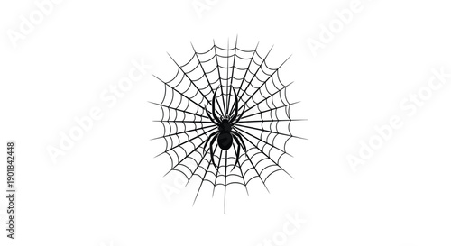 A detailed spiderweb with a black spider positioned in the center