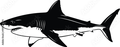 Black great white shark silhouette isolated on white background, predatory marine animal icon, cad drawing flat vector illustration for oceanography.