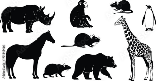 Diverse animal silhouette collection featuring rhino horse bear giraffe penguin and monkey, hand drawn vector set for wildlife and nature design projects
