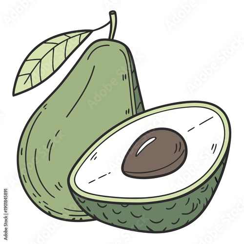 A ripe avocado split open to reveal its creamy flesh and large pit. Vector