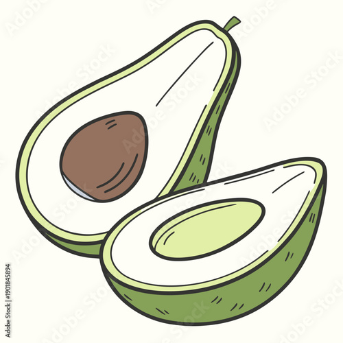 A vibrant illustration of a halved avocado showcasing its creamy texture and large pit Vector