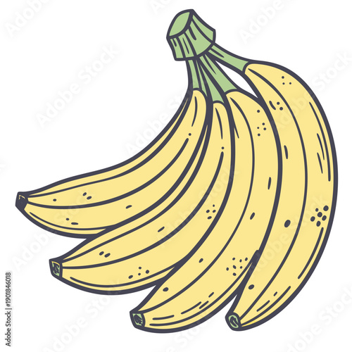A bunch of ripe bananas hanging together in a cluster Vector