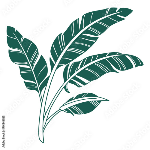 A close-up view of a vibrant green leafy plant with intricate vein patterns Vector