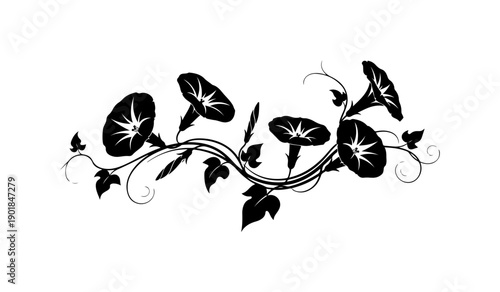 Elegant Black and White Floral Vine Decoration