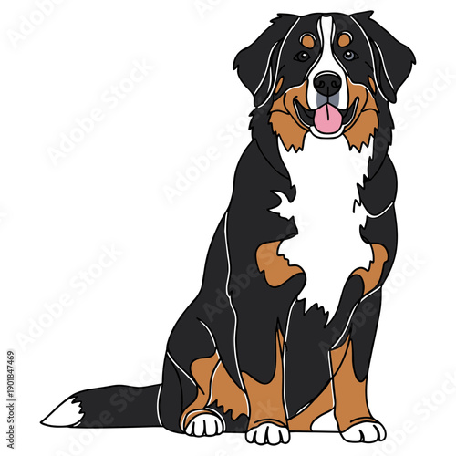 Happy Bernese Mountain Dog Sitting Illustration