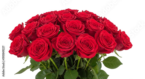 Red Rose Bouquet Isolated on transparent Background perfect for wedding, romantic date, valentine's day design elements. Bouquet of Fresh Valentine Red Roses Isolated Group