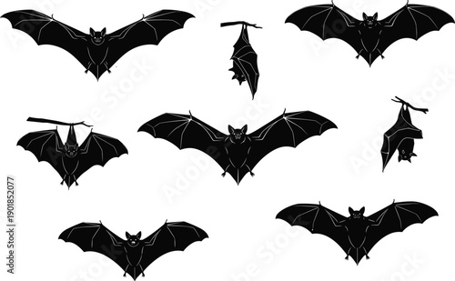 Set of black bat silhouettes in various flying and hanging poses, nocturnal animal icons, cad drawing flat vector illustration for Halloween.
