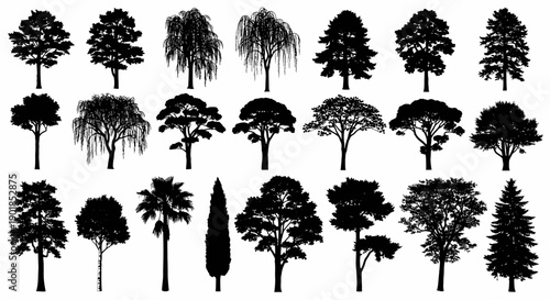 Vector tree silhouettes set, various deciduous and coniferous trees, black forest elements for landscape design, isolated on white