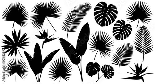 Black tropical palm leaves and exotic plants vector silhouettes set. Monstera, banana, fan palm, bird of paradise flower isolated on white.