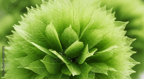 Green abstract floral vector illustration, layered leaves texture, organic nature background, eco design element