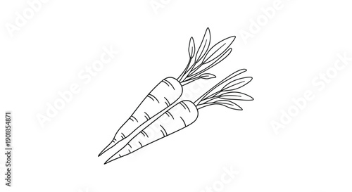 Simple black and white line art drawing of two fresh carrots with their leafy tops perfect for coloring books or garden icons.