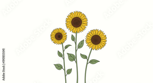Three vibrant sunflowers with bright yellow petals and dark brown centers growing on tall green stalks with leaves against a white background.