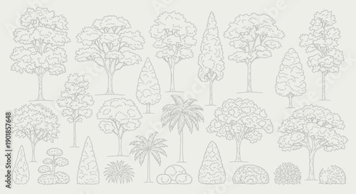 A collection of various detailed line art illustrations of trees and bushes, presented against a neutral background.