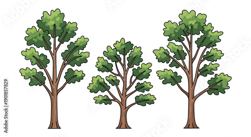 Three stylized green trees with brown trunks and branches, depicted against a white background.