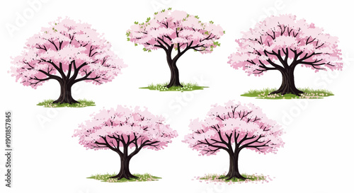 A collection of five beautiful illustrations of cherry blossom trees in full bloom, set against a white background.