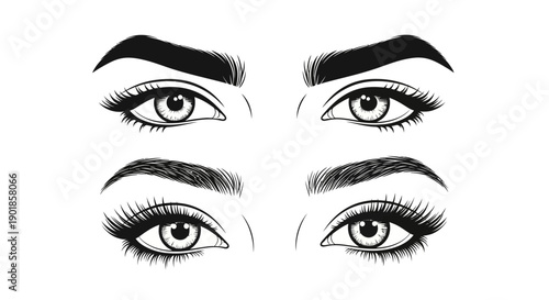 Illustration of two pairs of eyes, showcasing different eyebrow shapes and styles with dramatic eyelashes.