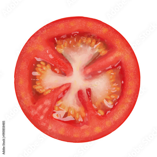 Tomato Slice Illustration Isolated on White Background for Food Packaging, Menu Design, Cooking Blog, and Healthy Nutrition Content