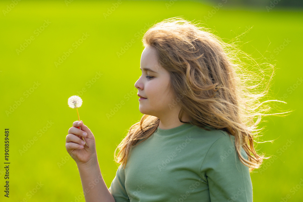 Fototapeta premium Child blowing dandelion. Dreamy summer nature. Child blowing dandelion. Innocence happiness joy. Child blowing dandelion. Green meadow garden. Child blowing dandelion.