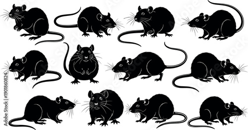 Detailed black rat silhouette collection featuring multiple rodent poses including sitting, crawling, and standing for pest control and wildlife concepts.