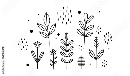 Simple Black Line Wild Herbs Grass Plants With Seed Heads Dots leaves stems