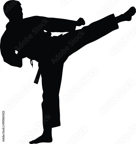 Black silhouette of a martial artist performing a powerful high kick in a karate uniform, dynamic combat sport action