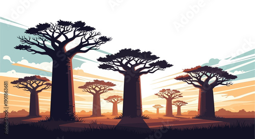 Fotografía A striking silhouette of several large baobab trees standing tall against a vibrant, hazy sunset sky