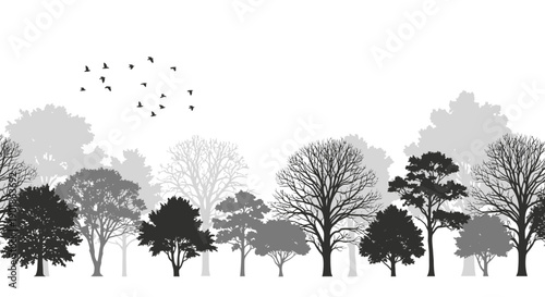 A monochrome silhouette of a diverse forest with various trees and a flock of birds flying in the sky.