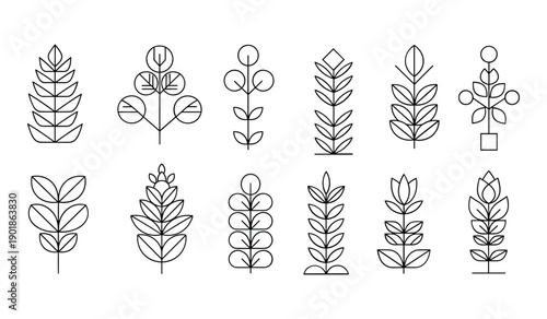Twelve Simplified Line Various Houseplant Types in Black and White plants houseplants leaves foliage