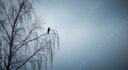 Wallpaper Mural Lone bird silhouette on a bare willow tree branch against a pale blue sky Torontodigital.ca