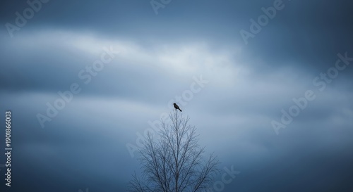 Wallpaper Mural Solitary bird perched on top of a bare tree against a dramatic cloudy blue sky Torontodigital.ca