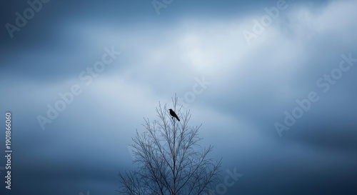 Wallpaper Mural Lone bird perched on the highest branch of a bare tree against a cloudy sky Torontodigital.ca