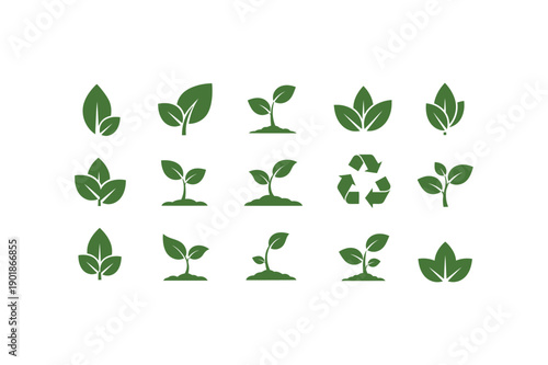 Collection of diverse green plant leaves and seedlings in various stages of growth
