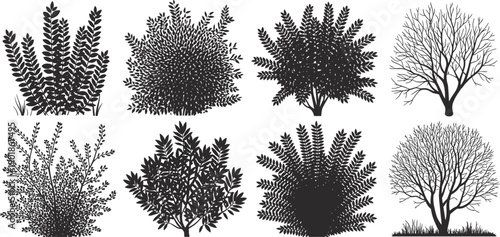 Tree and bush silhouette collection with leafy shrubs and bare trees, nature botanical black vector
