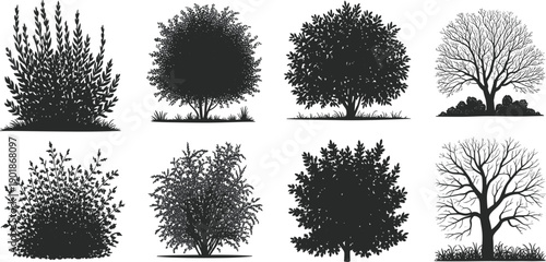 Tree and bush silhouette set with leafy shrubs and bare trees, nature black vector elements
