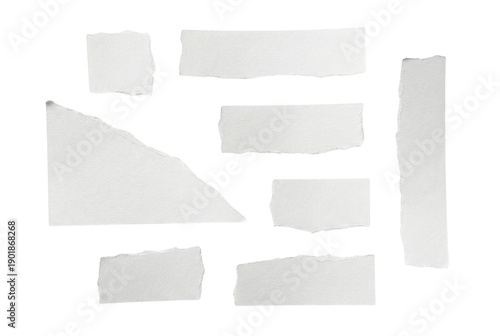 Wallpaper Mural Collection of torn white paper strips and ripped note pieces with deckle edges on clean background for collage or scrapbooking Torontodigital.ca