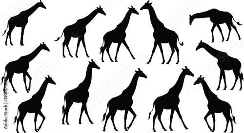Giraffe silhouettes, wildlife icons, animal illustration, safari design elements, nature vector art, zoo graphics, African mammals