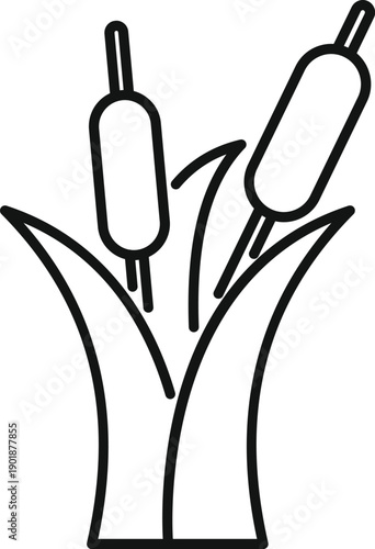 Cattail plants growing in a wetland environment illustration