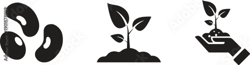 Plant seeds sprout and hand holding soil with seedling, symbolizing growth and agriculture, farming and new life, ecological concept on transparent background.