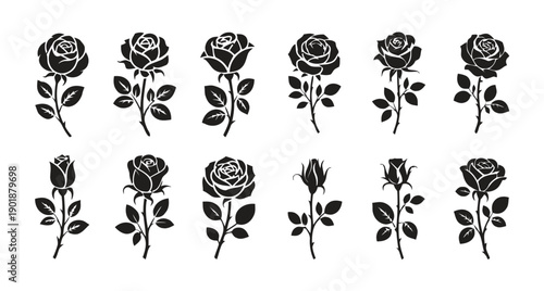 Set of black silhouette rose flowers and buds with stems and leaves isolated on white background, elegant floral design elements for decoration and design